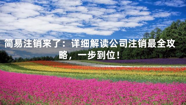 简易注销来了：详细解读公司注销最全攻略，一步到位！