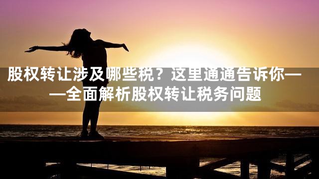 股权转让涉及哪些税？这里通通告诉你——全面解析股权转让税务问题