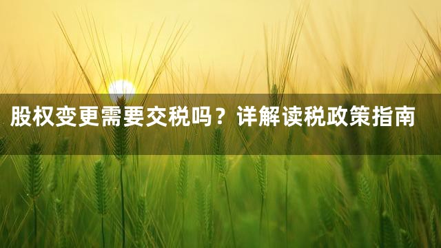 股权变更需要交税吗？详解读税政策指南