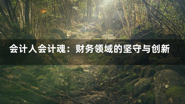 会计人会计魂：财务领域的坚守与创新