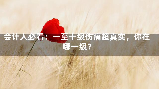 会计人必看：一至十级伤痛超真实，你在哪一级？