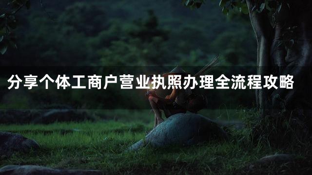 分享个体工商户营业执照办理全流程攻略