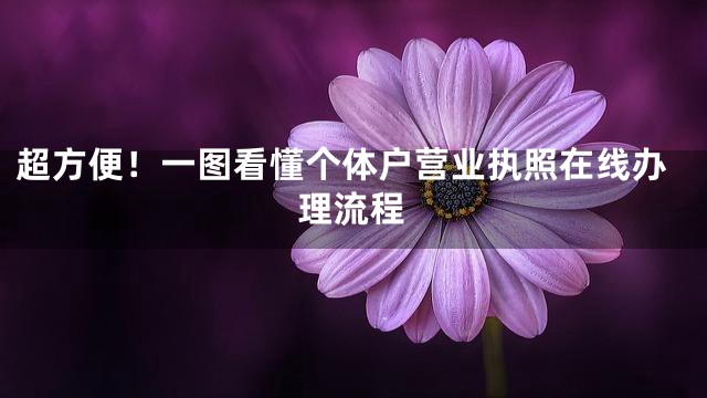 超方便！一图看懂个体户营业执照在线办理流程