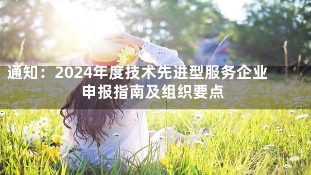 通知：2024年度技术先进型服务企业申报指南及组织要点