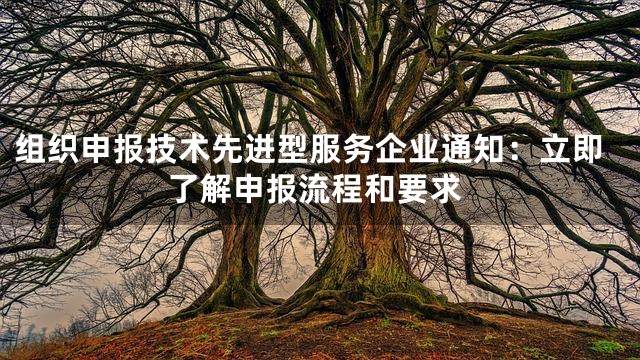 组织申报技术先进型服务企业通知：立即了解申报流程和要求