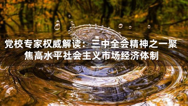 党校专家权威解读：三中全会精神之一聚焦高水平社会主义市场经济体制