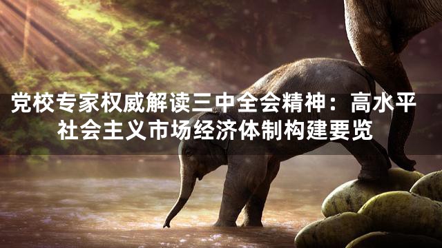 党校专家权威解读三中全会精神：高水平社会主义市场经济体制构建要览
