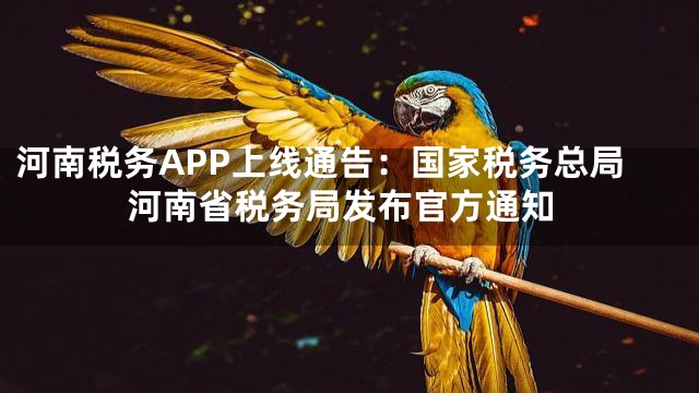河南税务APP上线通告：国家税务总局河南省税务局发布官方通知