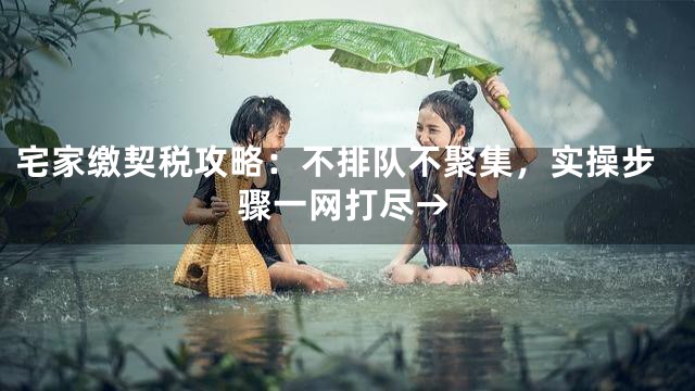 宅家缴契税攻略：不排队不聚集，实操步骤一网打尽→