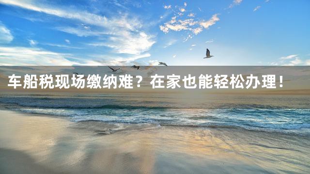 车船税现场缴纳难？在家也能轻松办理！