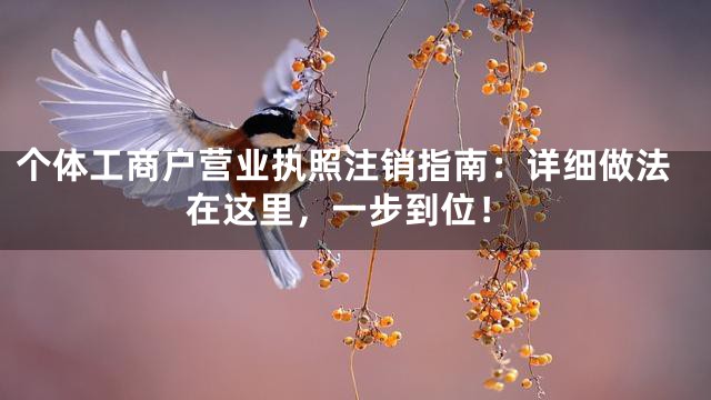个体工商户营业执照注销指南：详细做法在这里，一步到位！
