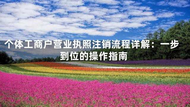 个体工商户营业执照注销流程详解：一步到位的操作指南