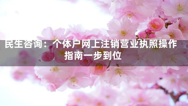 民生咨询：个体户网上注销营业执照操作指南一步到位