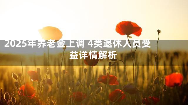 2025年养老金上调 4类退休人员受益详情解析