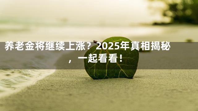 养老金将继续上涨？2025年真相揭秘，一起看看！