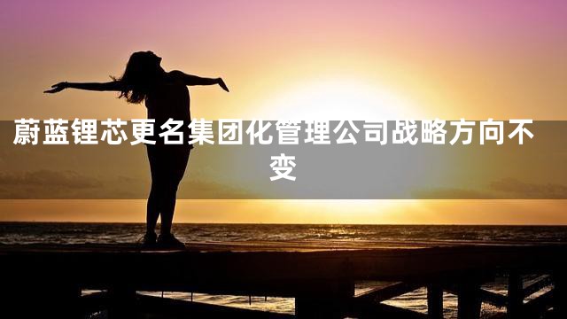 蔚蓝锂芯更名集团化管理公司战略方向不变