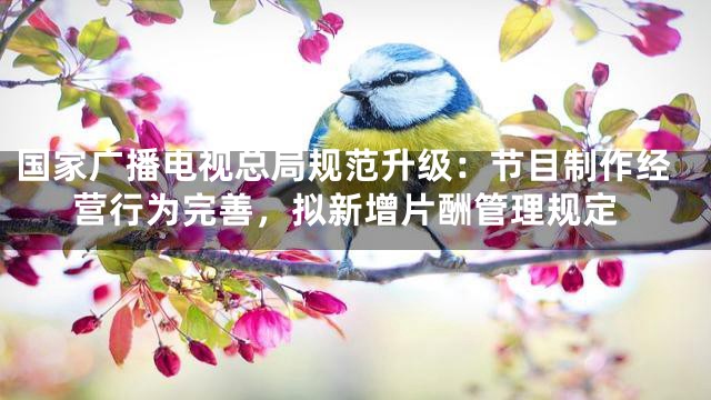 国家广播电视总局规范升级：节目制作经营行为完善，拟新增片酬管理规定