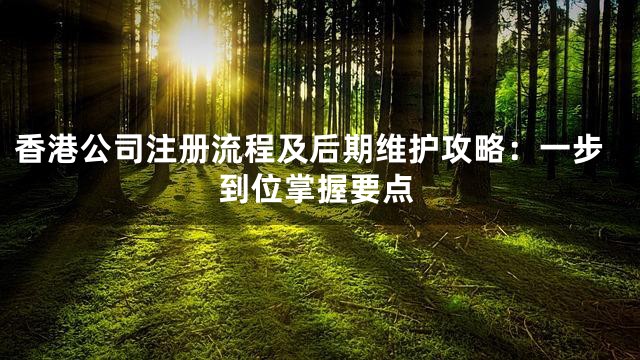 香港公司注册流程及后期维护攻略：一步到位掌握要点