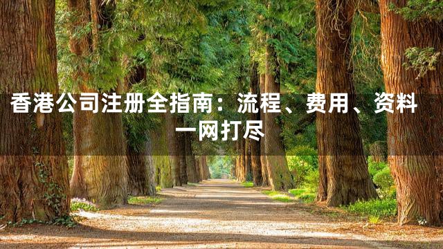 香港公司注册全指南：流程、费用、资料一网打尽