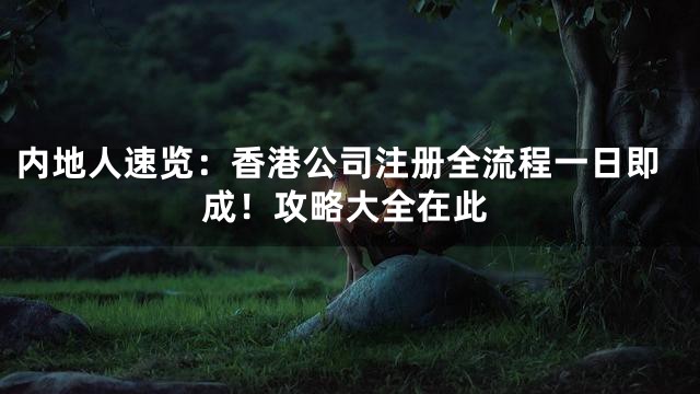 内地人速览：香港公司注册全流程一日即成！攻略大全在此