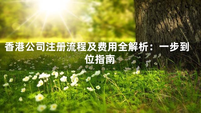 香港公司注册流程及费用全解析：一步到位指南
