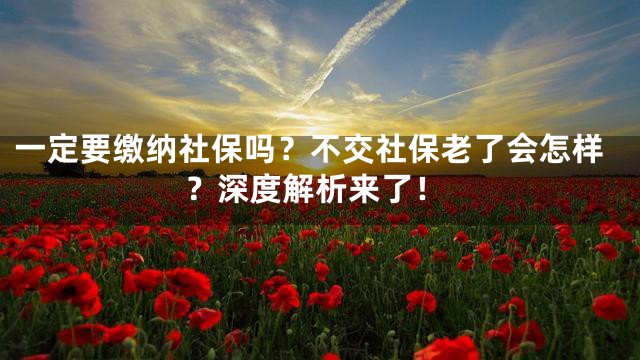 一定要缴纳社保吗？不交社保老了会怎样？深度解析来了！