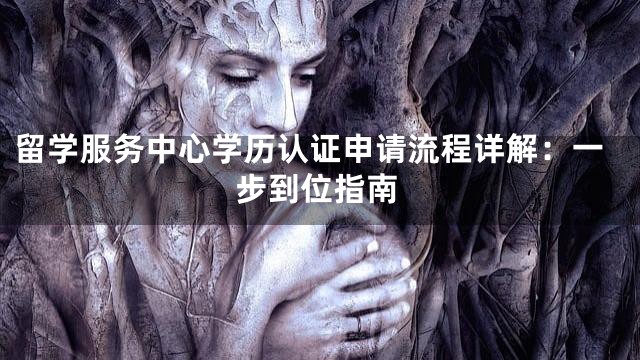 留学服务中心学历认证申请流程详解：一步到位指南