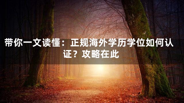 带你一文读懂：正规海外学历学位如何认证？攻略在此