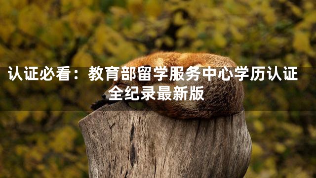 认证必看：教育部留学服务中心学历认证全纪录最新版