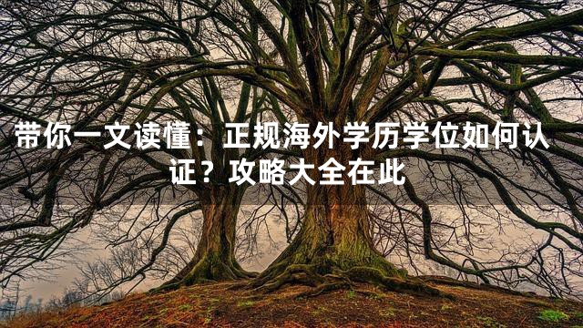 带你一文读懂：正规海外学历学位如何认证？攻略大全在此
