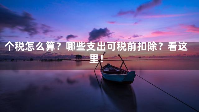 个税怎么算？哪些支出可税前扣除？看这里！