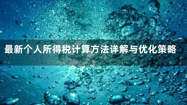 最新个人所得税计算方法详解与优化策略