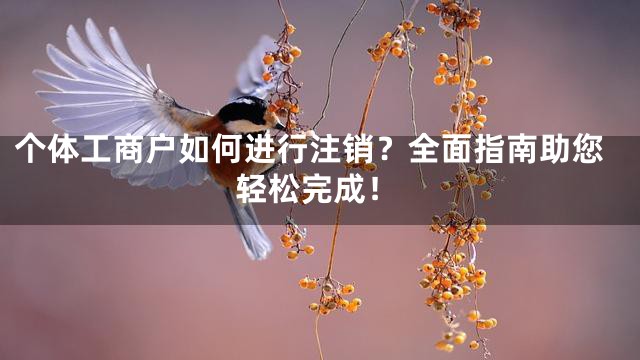 个体工商户如何进行注销？全面指南助您轻松完成！