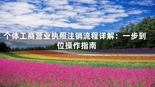 个体工商营业执照注销流程详解：一步到位操作指南