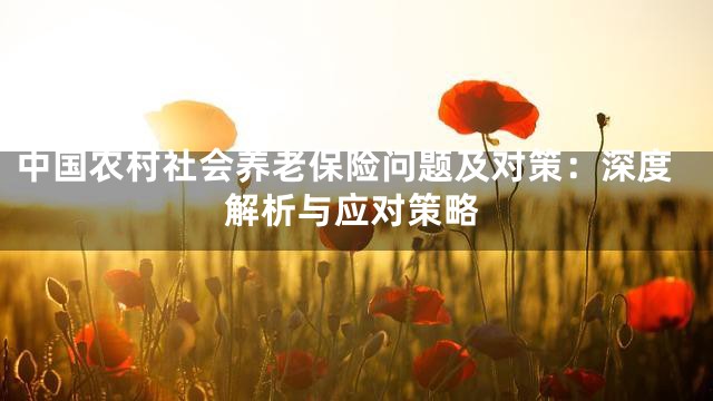 中国农村社会养老保险问题及对策：深度解析与应对策略