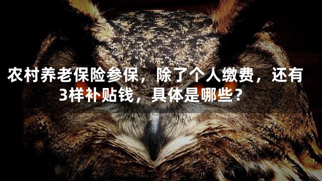 农村养老保险参保，除了个人缴费，还有3样补贴钱，具体是哪些？