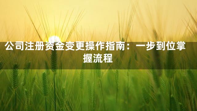 公司注册资金变更操作指南：一步到位掌握流程