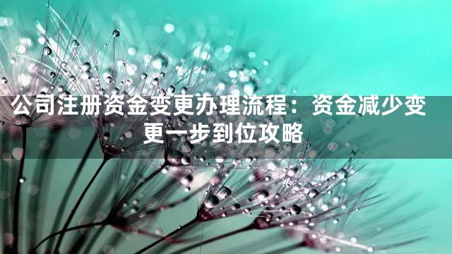 公司注册资金变更办理流程：资金减少变更一步到位攻略