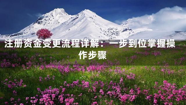 注册资金变更流程详解：一步到位掌握操作步骤