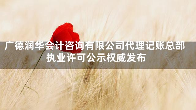 广德润华会计咨询有限公司代理记账总部执业许可公示权威发布