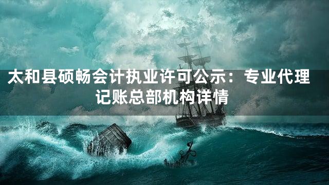 太和县硕畅会计执业许可公示：专业代理记账总部机构详情
