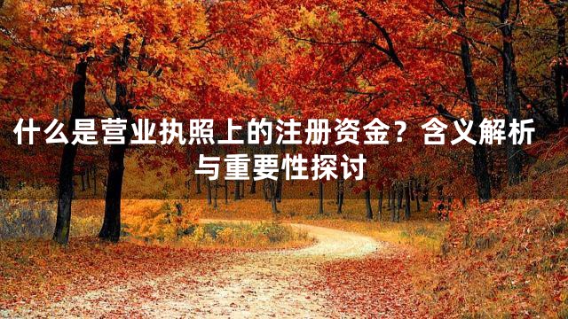什么是营业执照上的注册资金？含义解析与重要性探讨