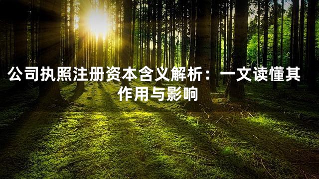 公司执照注册资本含义解析：一文读懂其作用与影响