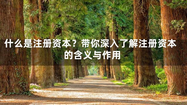 什么是注册资本？带你深入了解注册资本的含义与作用