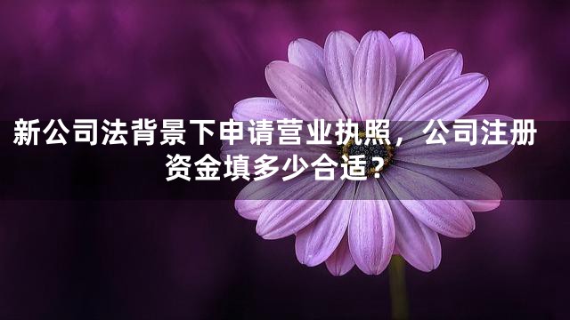 新公司法背景下申请营业执照，公司注册资金填多少合适？