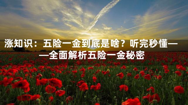 涨知识：五险一金到底是啥？听完秒懂——全面解析五险一金秘密