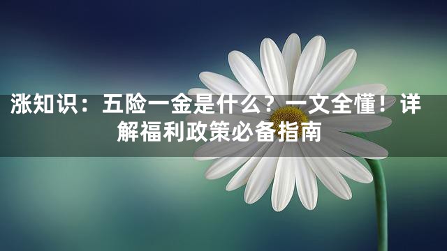 涨知识：五险一金是什么？一文全懂！详解福利政策必备指南
