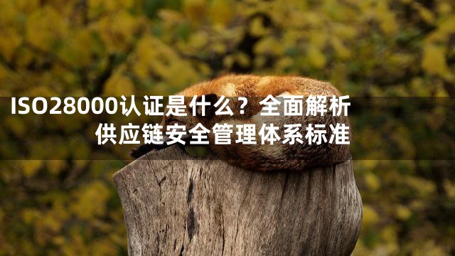 ISO28000认证是什么？全面解析供应链安全管理体系标准