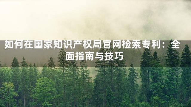 如何在国家知识产权局官网检索专利：全面指南与技巧