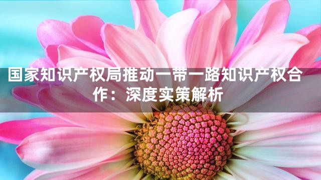 国家知识产权局推动一带一路知识产权合作：深度实策解析